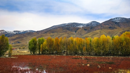 西藏-色彩-风景-自然-景物 图片素材