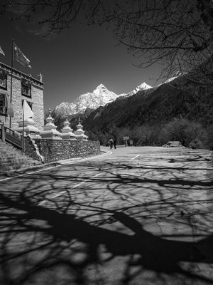 我要上封面-阿坝藏族羌族自治州-生态-风景-旅游 图片素材