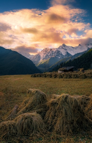 那拉提-草原-旅行-自然-风景 图片素材