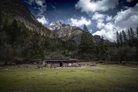 长坪沟-四姑娘山-森林-草原-高原 图片素材