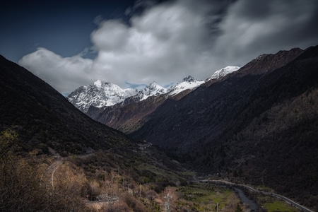 草原-阿坝藏族羌族自治州-森林-雪山-在路上 图片素材