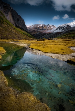 雪山-旅行-植物-高原-风景 图片素材