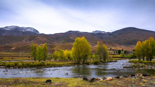 西藏-色彩-风景-自然-景物 图片素材