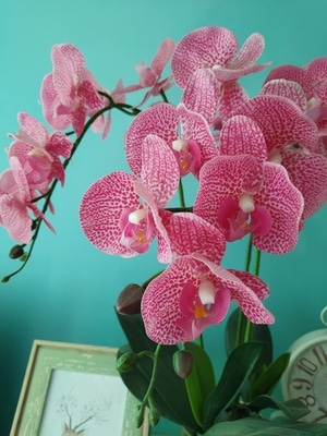 我的家-仿真花-花-花卉-仿真花 图片素材