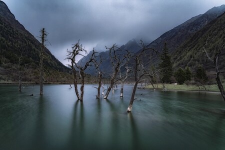 四姑娘山-雪山-风光-流水-草原 图片素材