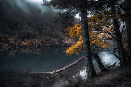 风景-自然-风光-旅行-旅游 图片素材