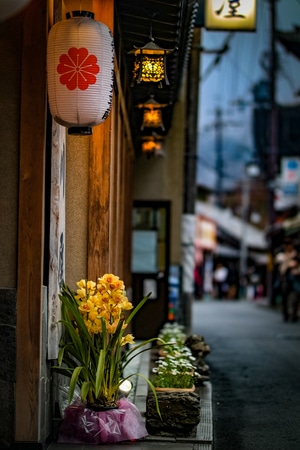 人文-日本-旅游-吉野山-灯笼 图片素材