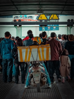旅行-风景-人文-上海-旅游 图片素材