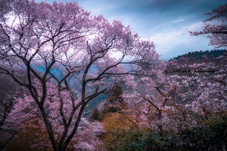 风光-色彩-景物-旅行-hdr 图片素材