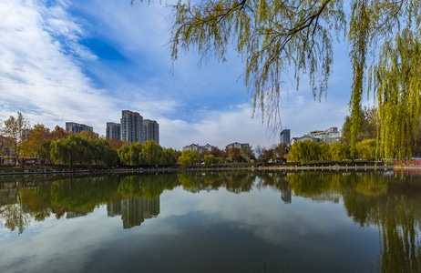 一镜知秋-一镜知秋-武汉大学-秋景-色彩 图片素材