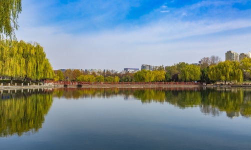 一镜知秋-一镜知秋-武汉大学-秋景-色彩 图片素材