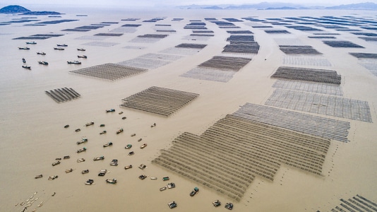 我的2019-航拍-滩涂-霞浦-大海 图片素材
