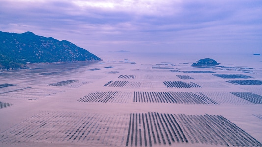 我的2019-航拍-霞浦-旅拍-滩涂 图片素材