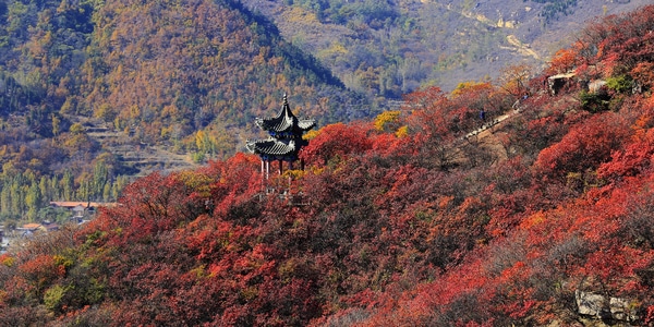 秋日物语-旅拍-风光-色彩-红叶 图片素材