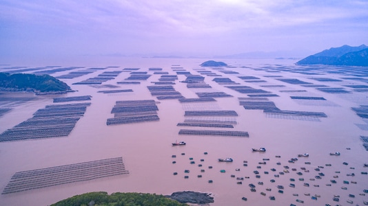 我的2019-航拍-霞浦-旅拍-滩涂 图片素材
