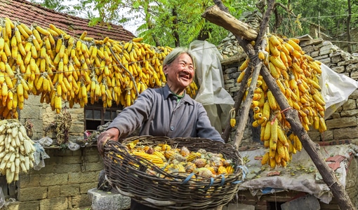 人像-人文-乡村生活-街拍-旅拍 图片素材