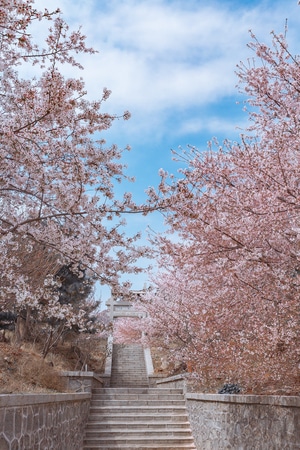 我要上封面-天空-白云-蓝天-季节 图片素材
