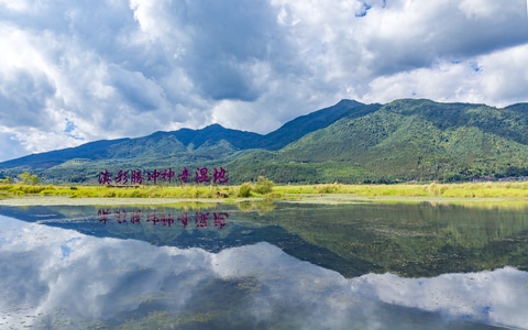 视觉中国-旅拍-风光-湿地-云南腾冲 图片素材