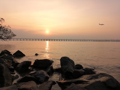 黄昏-夕阳-红树林-西湾-日落 图片素材