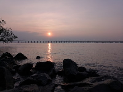 黄昏-夕阳-红树林-西湾-日落 图片素材