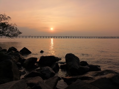 黄昏-夕阳-红树林-西湾-日落 图片素材
