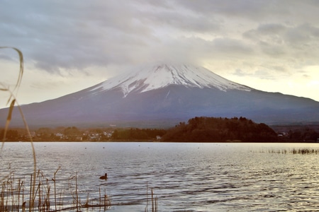 日本-富士山下🗻-风景-风光-山 图片素材