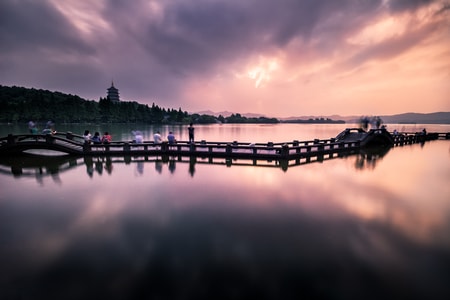 旅行-风光-奇妙的昆虫-深夜摄影教室-2019inf招募 图片素材