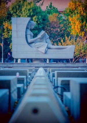 秋季-城市-天津-天津大学-你好秋天 图片素材