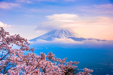 风光-旅行-日本-户外-富士山 图片素材