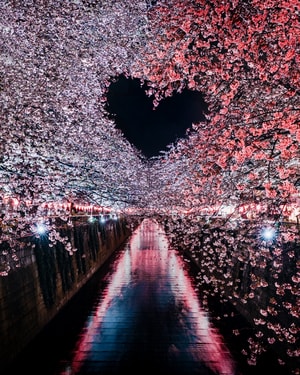 街道-夜晚-旅行-日本-城市 图片素材