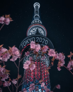 日本-旅行-奥运-东京-夜晚 图片素材