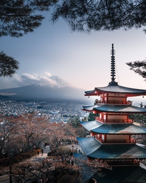 旅行-城市-日本-春天-塔 图片素材