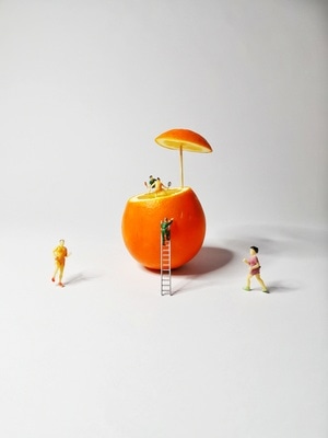 摄影和文字-蜜蜂影像-劳作-工人-橙子 图片素材