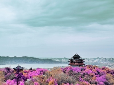 小蜜蜂-摄会主义-风光-我要上封面-风景 图片素材
