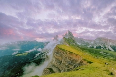 小蜜蜂-风光-旅游-风景风光-杭州 图片素材