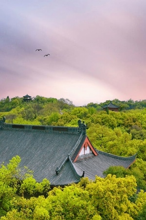 我要上封面-摄会主义-风光-手机摄影-风景风光 图片素材
