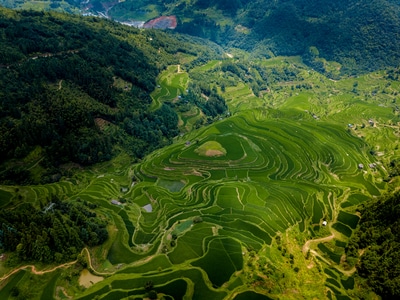 梯田-芭沙-从江-风光-风景 图片素材