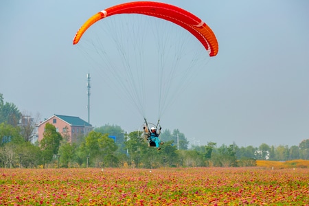 风光-滑翔伞-花丛-湘湖-生态 图片素材