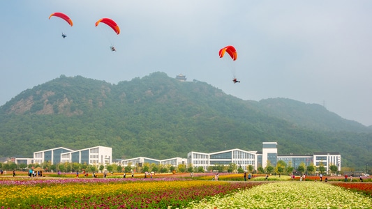 湘湖-花丛-景区-滑翔伞-风光 图片素材
