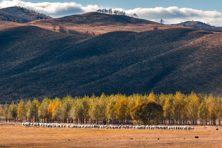 风景-季节-北方-色彩-尼康 图片素材