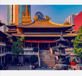 你好秋天-魔都-旅游-风光-静物 图片素材