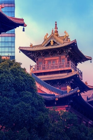 深夜摄影教室-魔都-自然-上海-静物 图片素材