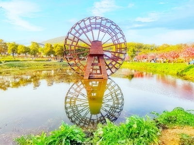 华为-手机-摄影-风光-田园风光 图片素材