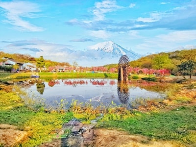 风光-摄影-手机-华为-风光 图片素材
