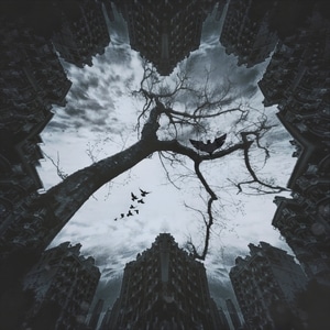 天空-建筑-色彩-手机-后期 图片素材
