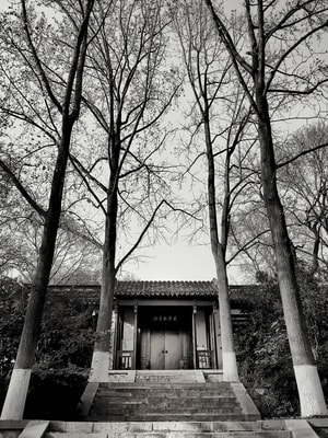 黑白-手机-华为-生活-光影 图片素材