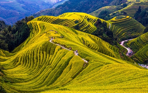 风光-风景-风光-自然-自然风光 图片素材