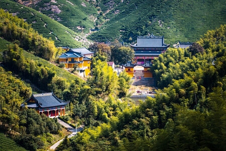 旅游-庙宇-乡村-风景-庙宇 图片素材