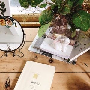 夏日-美好-书-书本-镜子 图片素材