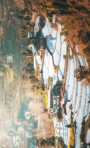 乡村-春天-踏春-风光-梯田 图片素材